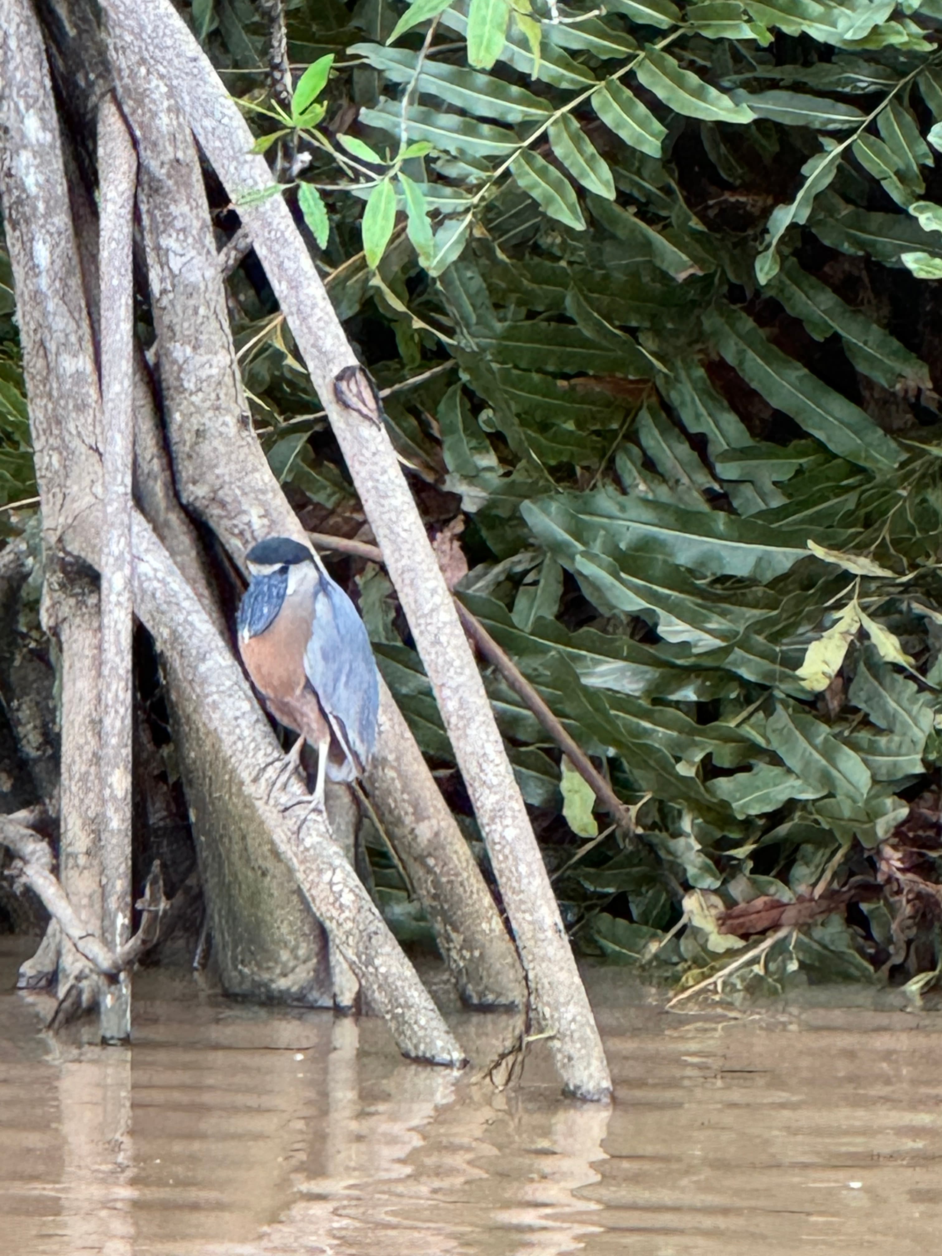 Costa Rica Tour 12