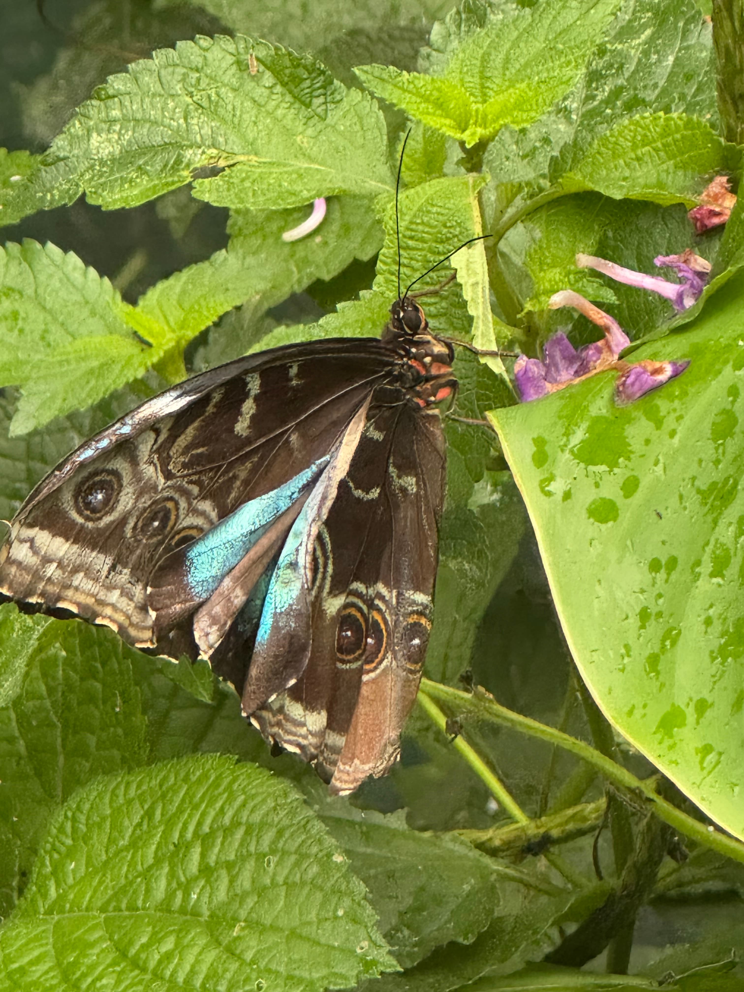 Costa Rica Tour 10
