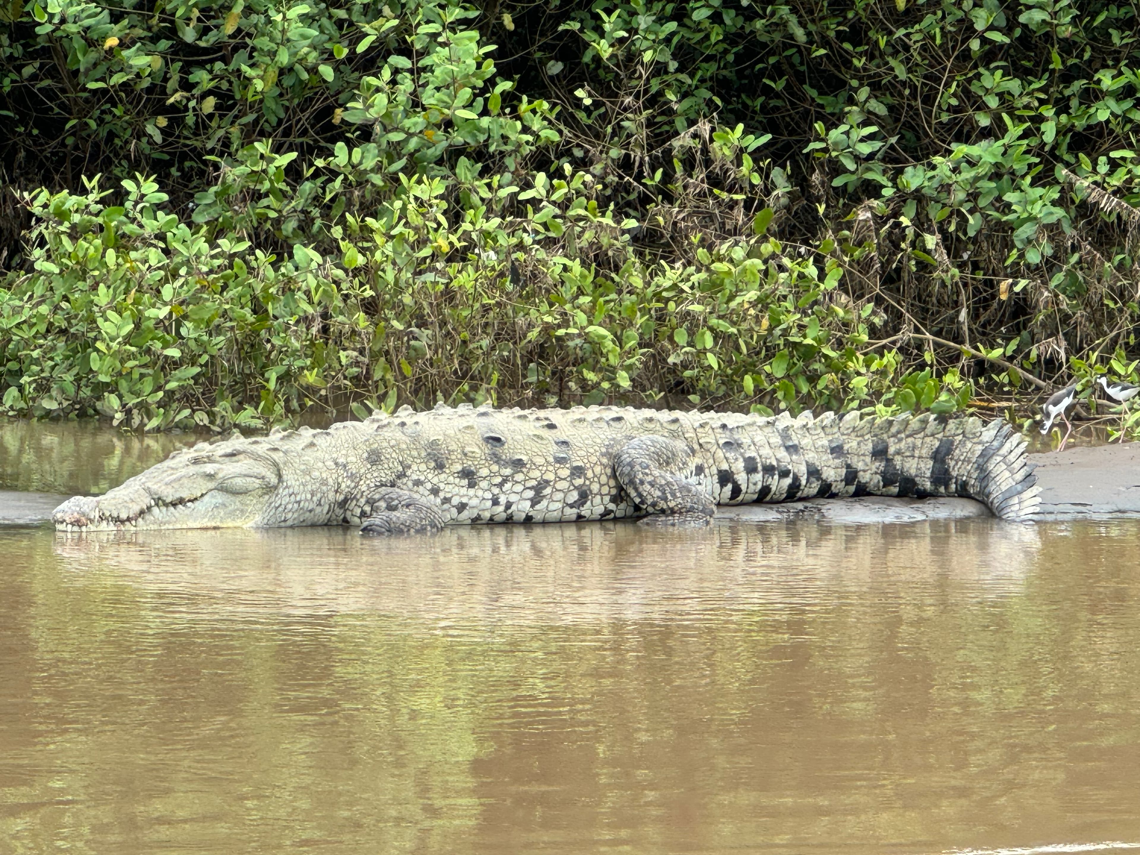 Costa Rica Tour 14